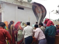 Nagapanchami, Pooja, Shiva, Mahashivaratri, Dharmakarma, Rudrabhishek