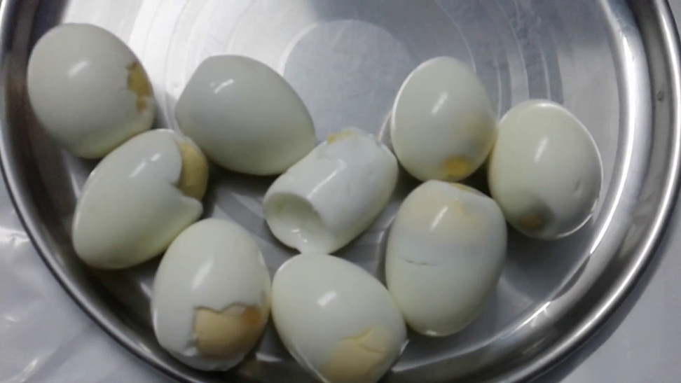 plastic made egg