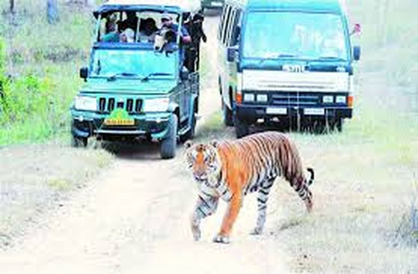 bandipur
