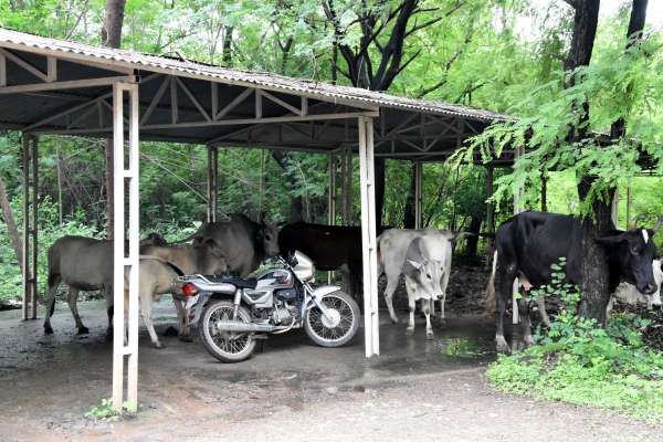 barkatullah university4