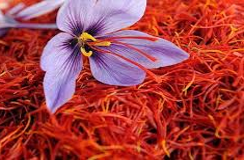 saffron price