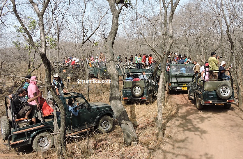 Sawai Madhopur Ranthambore
