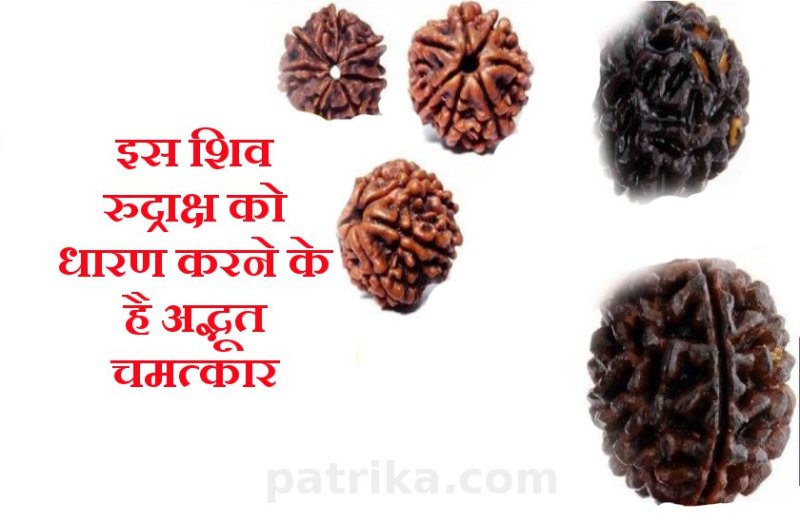 Rudraksha