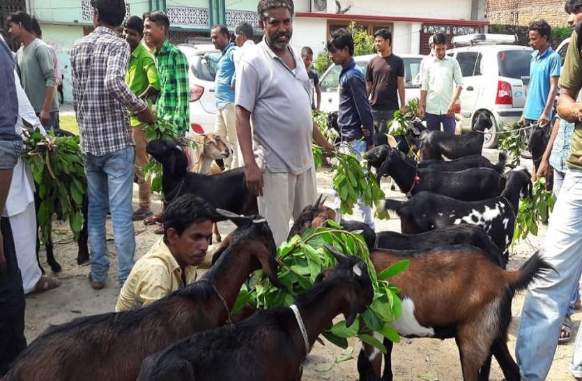 Bakrid 2019 Eid ul Adha celebration in Lakhimpur kheri up