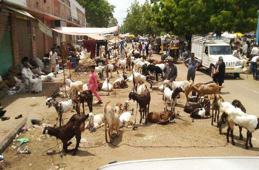 Now cattle fairs will not be held on roads and highways