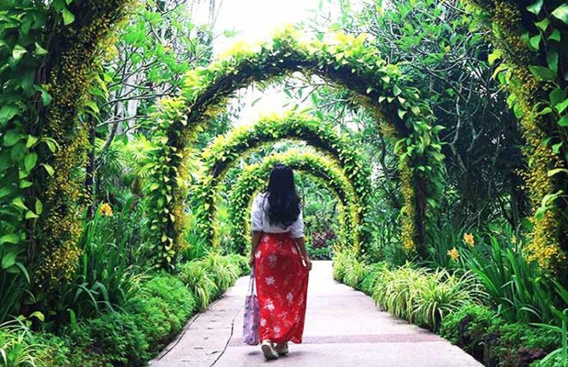 नोएडा में बोटेनिकल गार्डन (Botanical Garden)