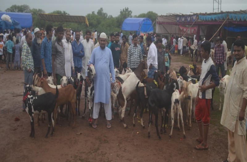 Radhikanagar salatar house bhilai