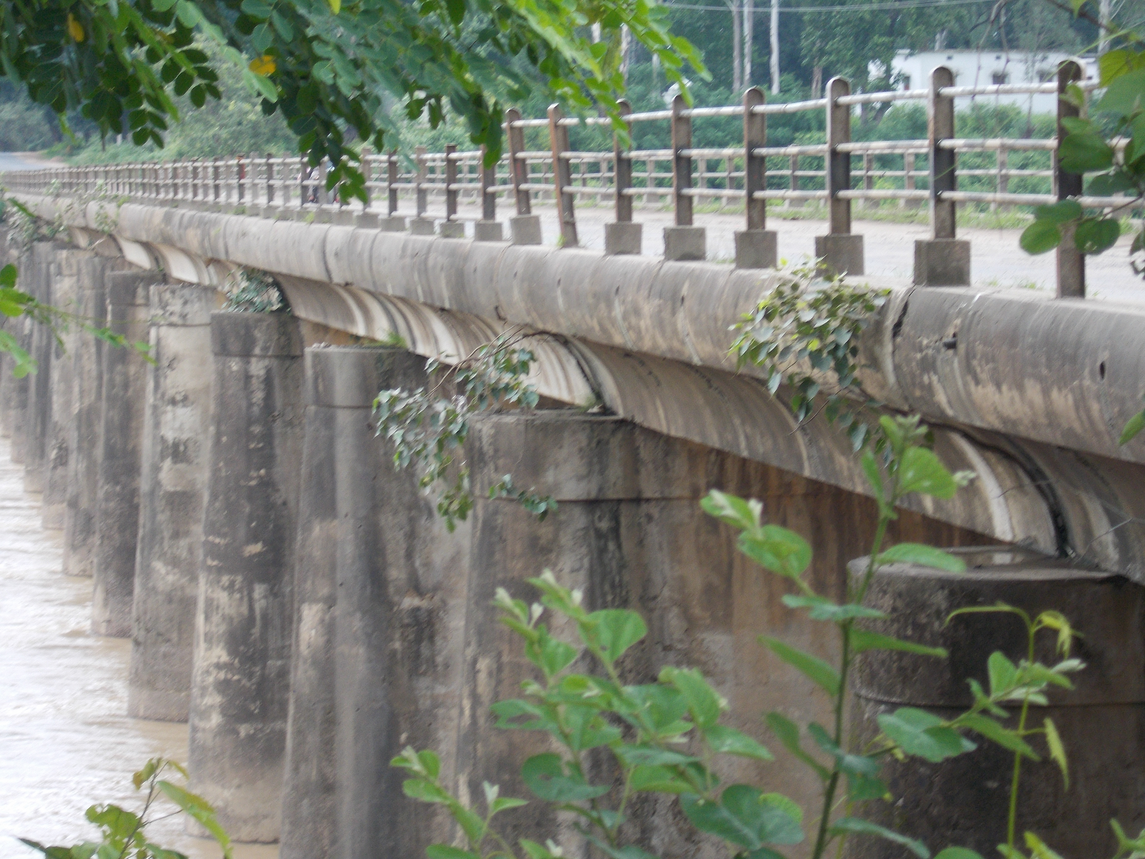 No proposed construction of Sonnadi bridge, bridge construction stuck