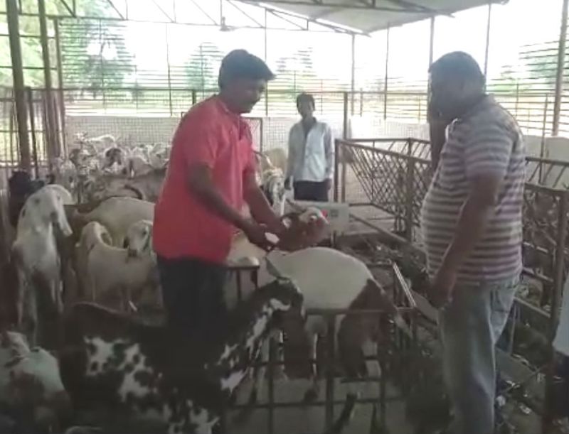 Bakrid 2019 Online sell