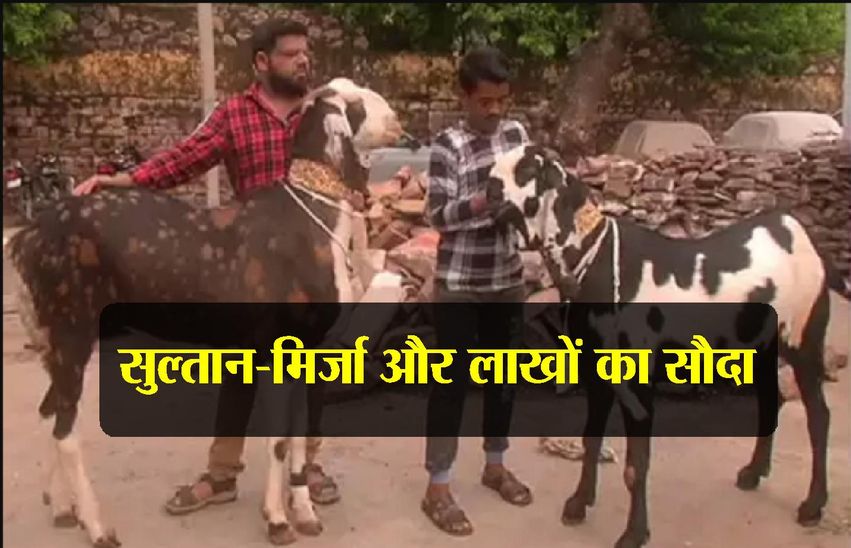 Bakrid 2019: history significance and facts on eid al adha