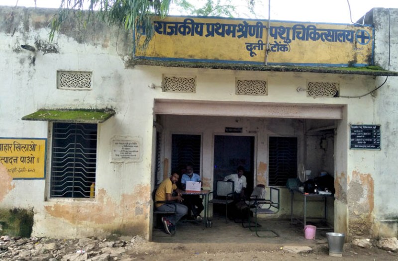 rainwater-dripping-from-the-roof-of-the-veterinary-hospital