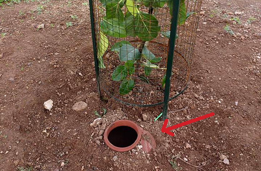 Matka technique will increase plantation on stony ground