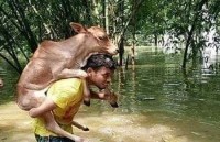 kerala flood