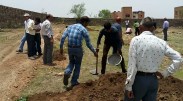 botonical plants in mdsu