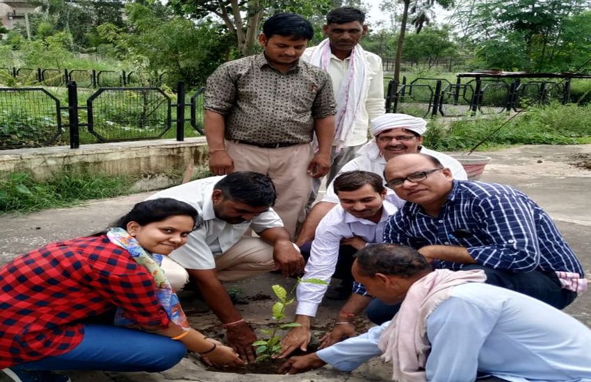 alwar plantaion news