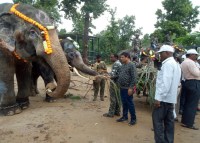 World elephant day: रेस्क्यू सेंटर में हाथियों को दूल्हे की तरह सजाकर की गई पूजा, फिर खिलाया लजीज भोजन