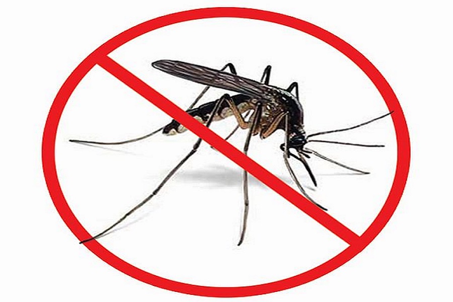 Dengue fever is spreading in Uttarakhand