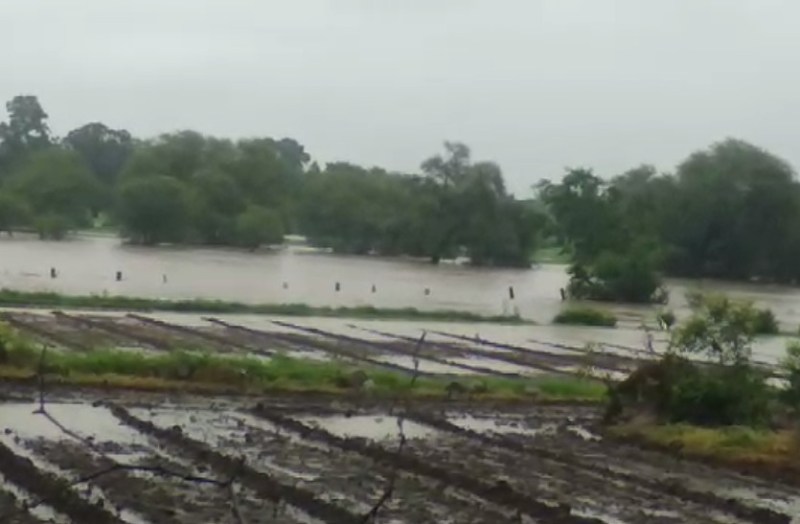 Kalisindh And Trivedi Overflow, Independence Day Celebration Canceled