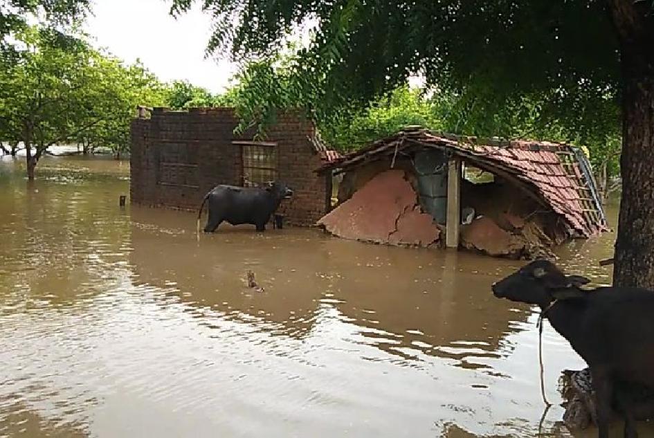 Bundi news, Bundi rajasthan news,rain,Water, Toil,The village,Island