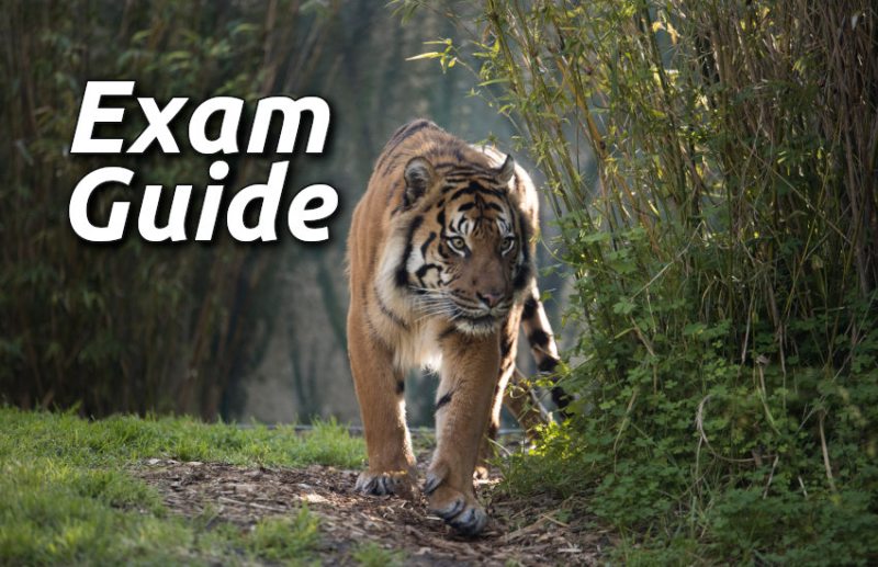 Education, interview, exam, online test, rojgar samachar, interview tips, online exam, Mock Test, general knowledge, GK, interview questions, jobs in hindi, rojgar, competition exam, mock test paper, sarkari job, questions Answers, GK mock test, Exam Guide, General Science Questions, Questions and answers, common general knowledge questions and answers, common general knowledge questions and answers