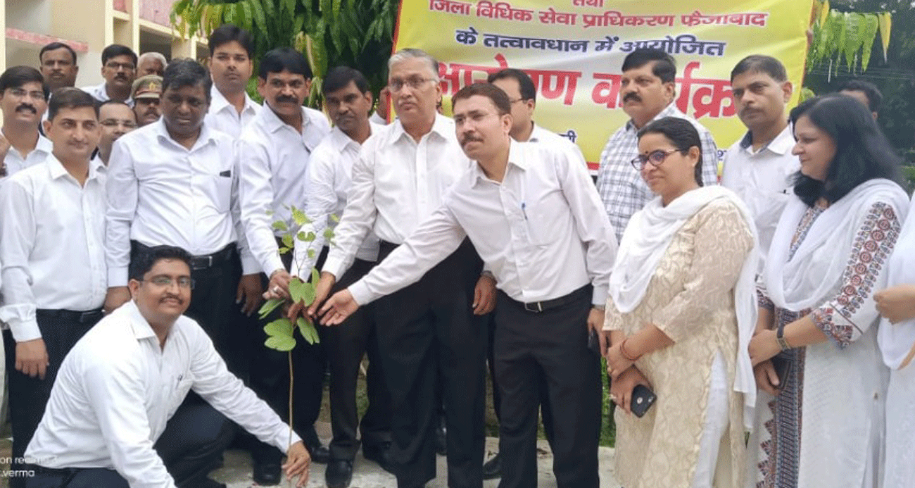 Tree plantation program was organized in district court Campus Ayodhya