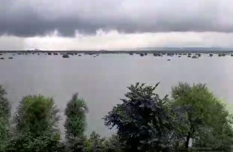 Heavy Rain In Rajasthan