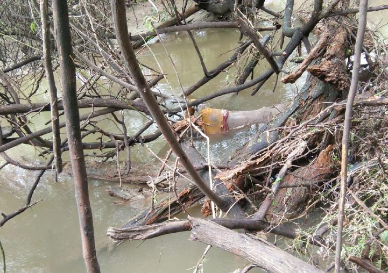 Bundi news, Bundi rajasthan news,young boy,The death,police,Hospital