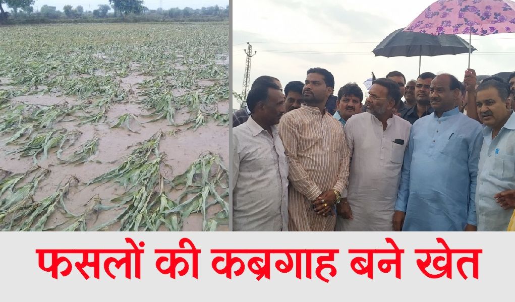 Om Birla visited in villages and see that crops damaged due to excess rainfall