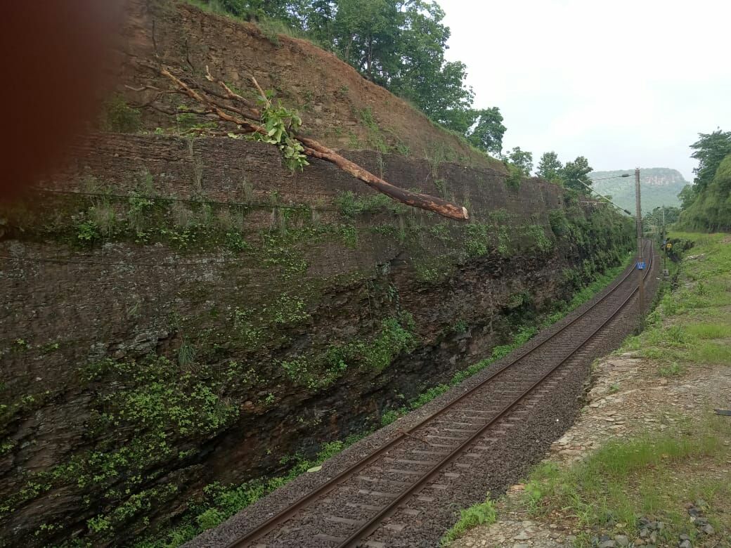 Trees fell on OHE line, five trains stopped at other stations