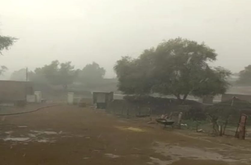 Monsoon Rain In Loonkaransar