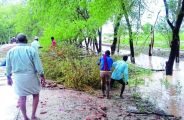 There was erosion in two places in BD canal, water entered in fields