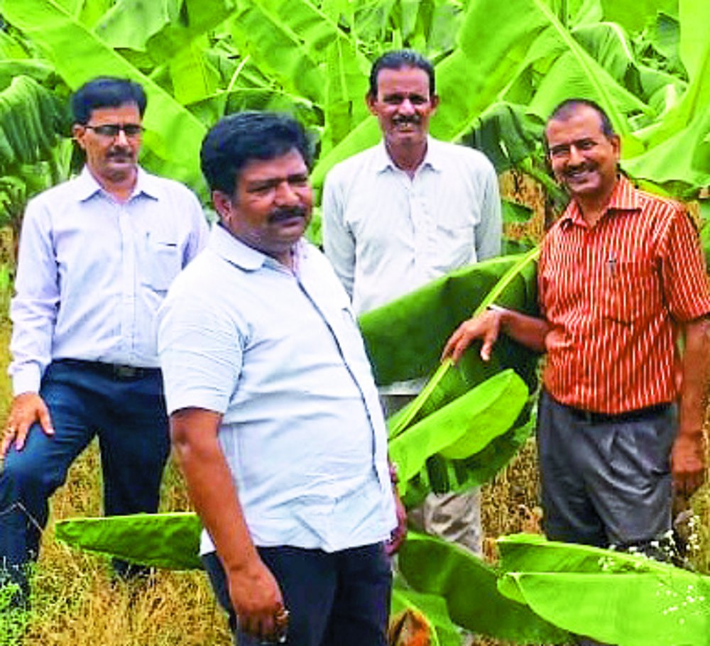  Farmers start innovation