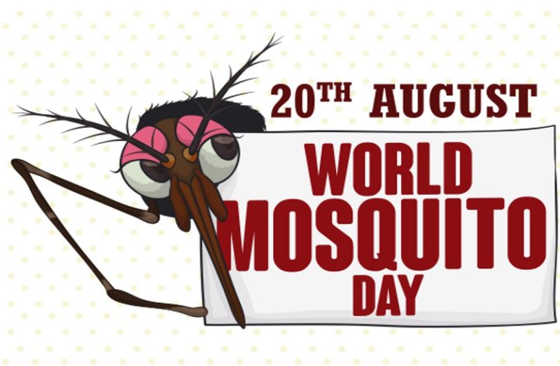 World Mosquito Day