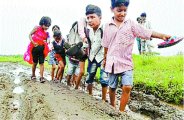 patrika