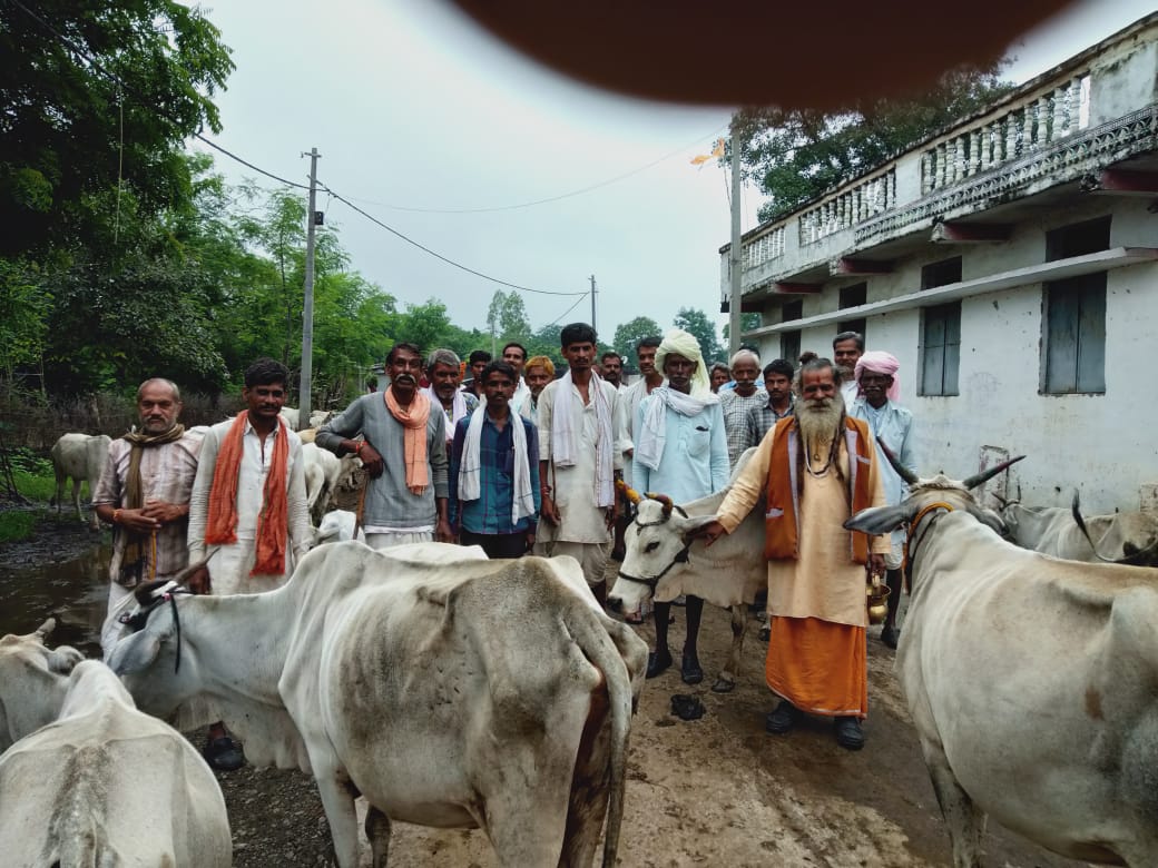 400 बीघा सरकारी जमीन पर दबंगों का कब्जा, भटकने वाली गायों को भी नहीं आने दे रहे