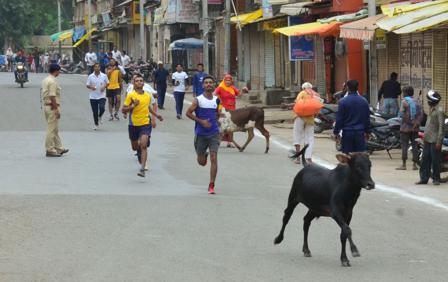 सद्भावना दौड़ में अव्यवस्था का आलम ये था कि प्रतिभागियों के साथ मवेशी भी दौड़े।