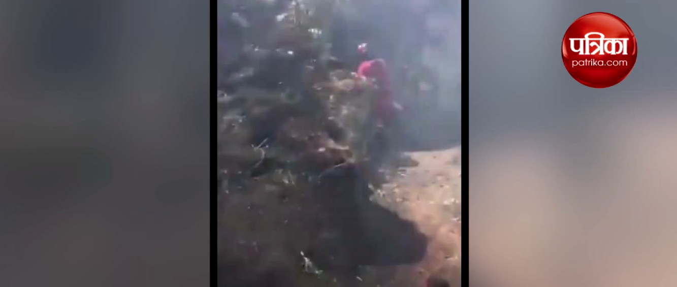 Video: जंगल में आग के बीच दिखी दमकलकर्मी की दरियादिली, बचाई मासूम की जान