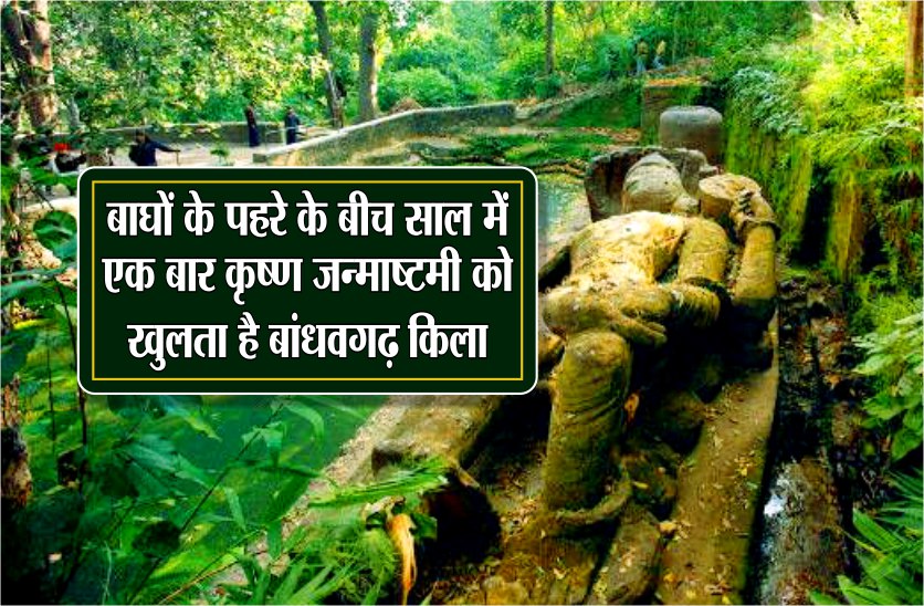 ये है दुनिया का एकलौता मंदिर जो 365 दिन में सिर्फ खुलता है एक बार, 2 हजार साल से कायम है ये परम्परा