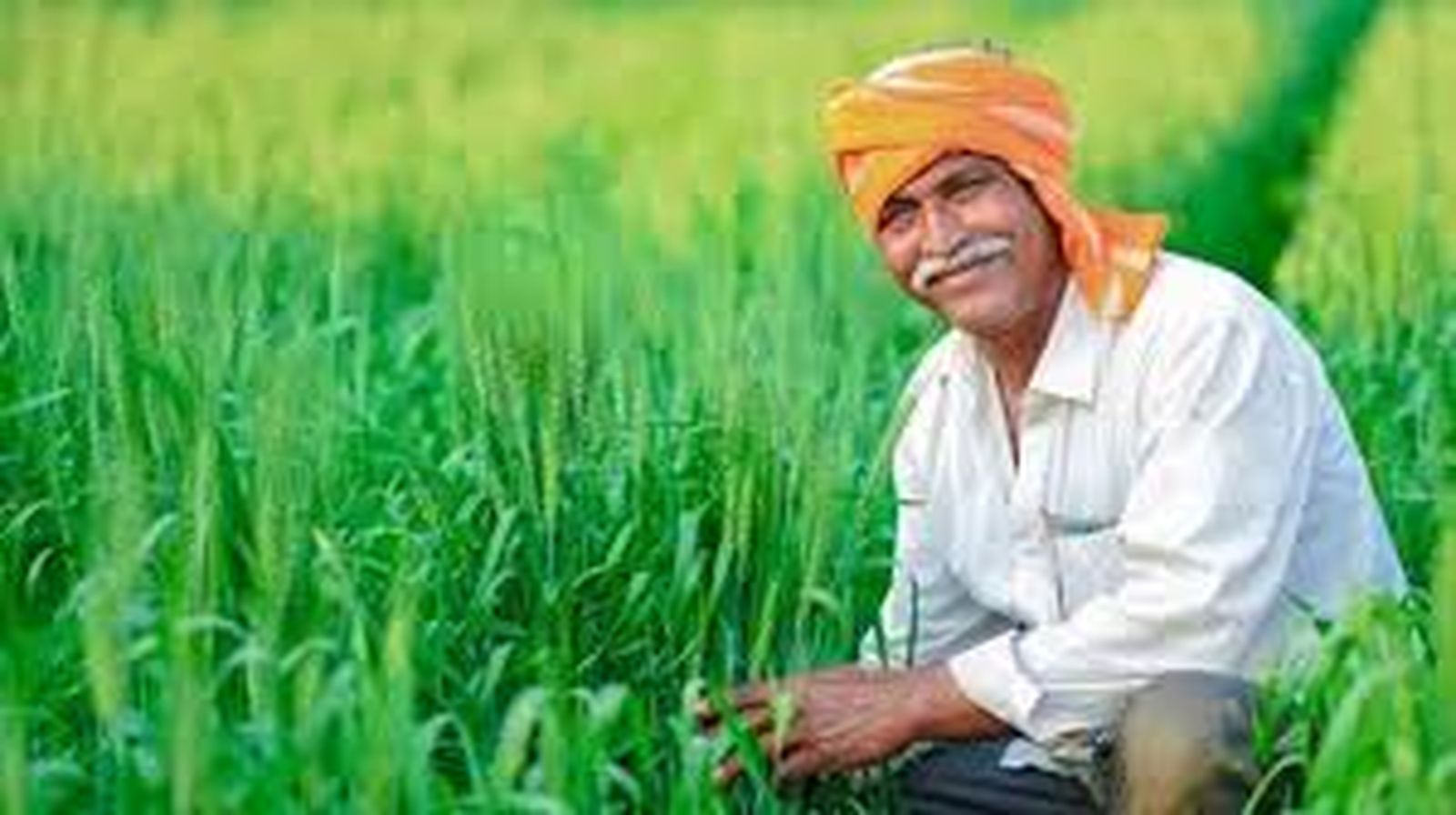 सोयाबीन के भावांतर से लेकर गेंहू के बोनस और प्याज की प्रोत्साहन राशि की बाट जोह रहे किसान