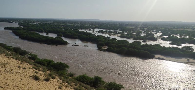 Luni river water waste