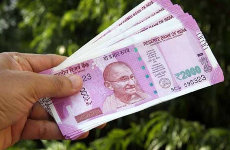 इस जानवर का पता बताने वाले को मिलेगा पांच हजार रुपया, आप भी हो सकते हैं हकदार, पढि़ए खबर...