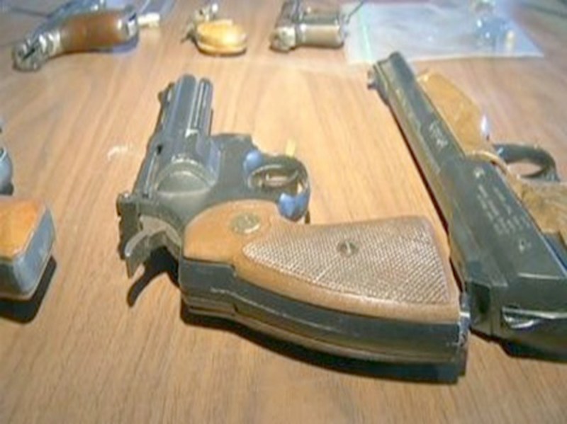 Fake aslha license case