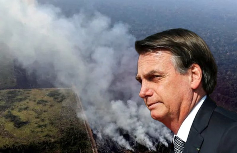 amazon rainforest fire