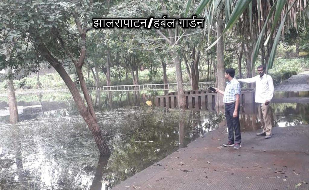 Mostly plants of rare flora destroyed by waterlogging in the herbal garden