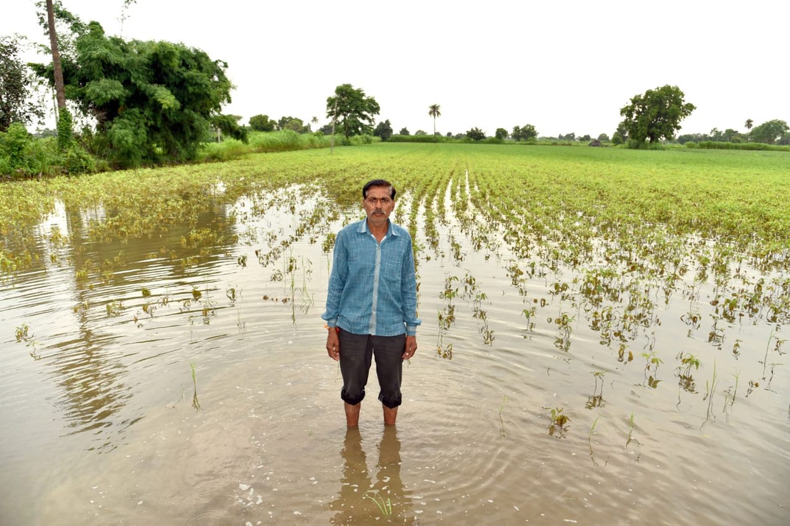 पानी से भरे खेतों में चौपट हो रही फसलों के साथ किसानों की उम्मी