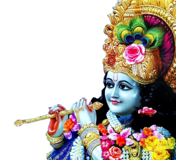 Krishna Janmashtami Mp3 songs : जन्माष्टमी के ये खास भजन आपको कृष्ण भक्ति से कर
देंगे सराबोर- see live video - image