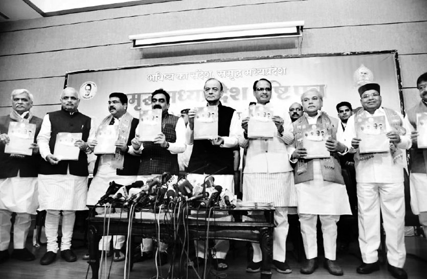 Arun Jaitley was the strategist of BJP's victory in Madhya Pradesh