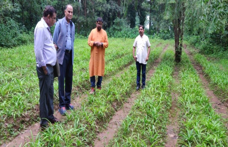 कोंडागांव के किसान की कमाई जान प्रधान आयकर महानिदेशक रह गए हैरान, पहुंच गए देखने खेत