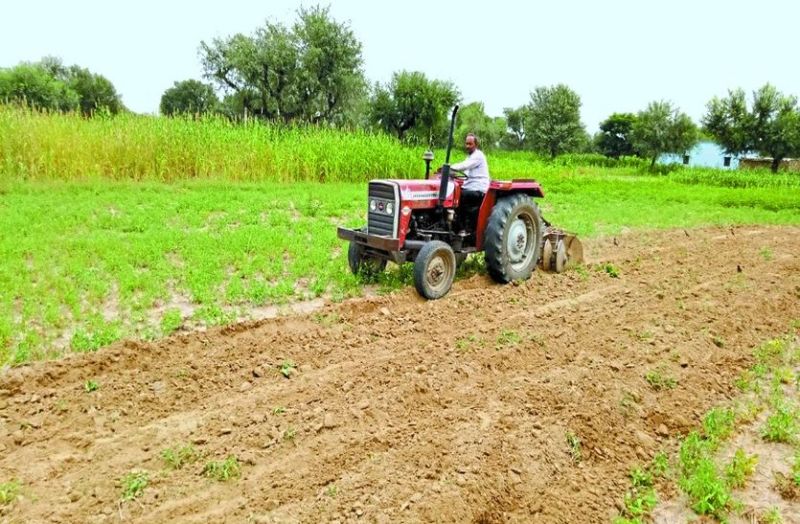 ऐसा क्या हुआ कि किसान अपनी ही फसल पर चला रहे ट्रेक्टर