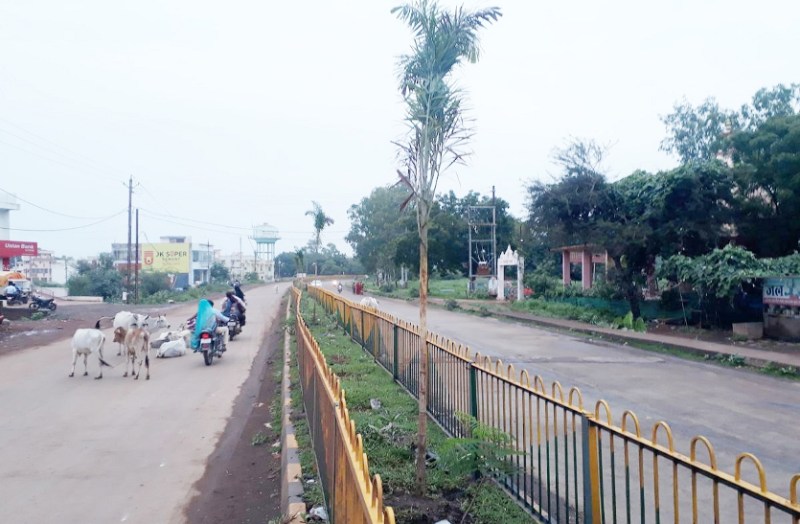 Center lights will be installed at a cost of 1 crore 65 lakhs